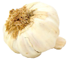garlic-100x89-1 garlic-100x89-1